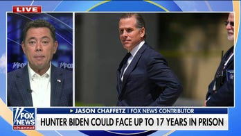 Hunter Biden 'never denied any of the charges': Jason Chaffetz
