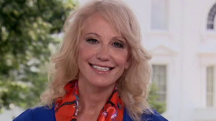 Kellyanne Conway: Trump is a visionary, he's positive and patriotic