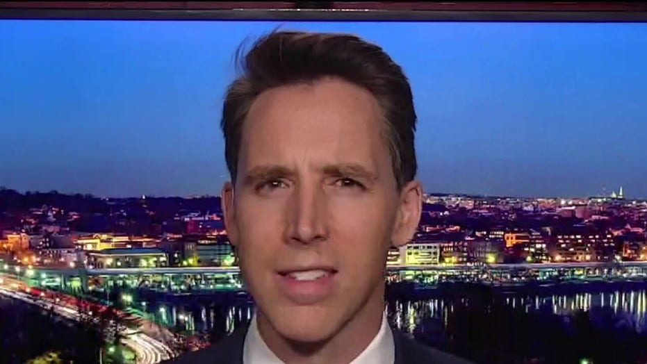 Hawley: Left wants to ‘combine the power of government and the power of’ Big Tech corporations
