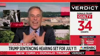 'It's a majestic day:' MSNBC guest gushes over Trump guilty verdict, calls it 'a day for celebration'