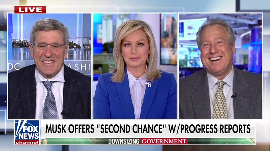 Economic expert calls out 'system that rewards mediocrity' as Elon Musk tries to cut waste