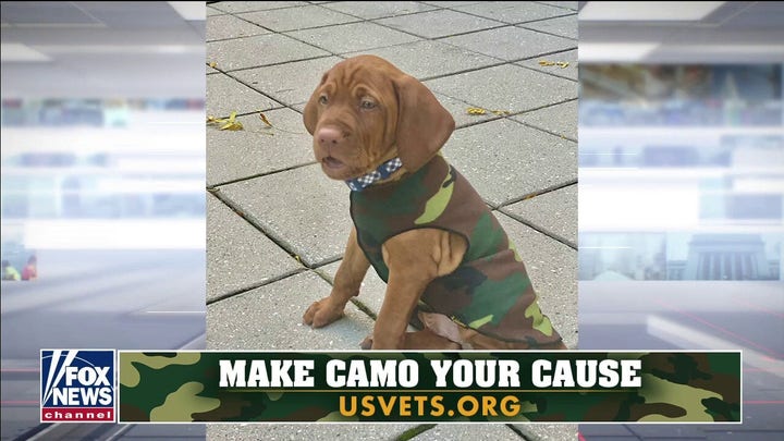 Dana Perino and Bill Hemmer spotlight 'Make Camo Your Cause'