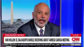 Democratic strategist warns party against making a 'martyr' out of Abrego Garcia