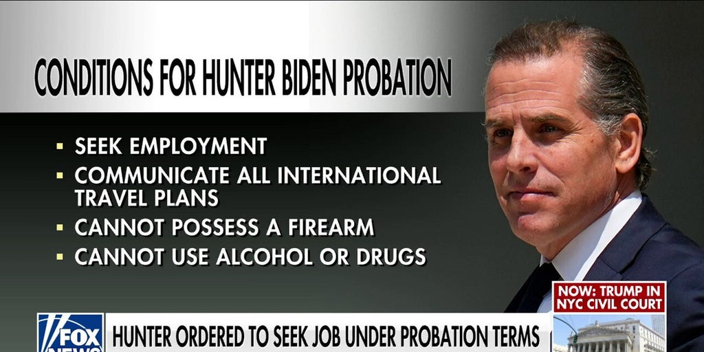 Judge orders Hunter Biden to get a job, abstain from alcohol, drug use ...