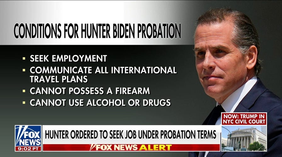 Judge orders Hunter Biden to get a job, abstain from alcohol, drug use
