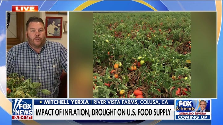 California farmer sounds alarm on tomato shortage, rising price of ketchup