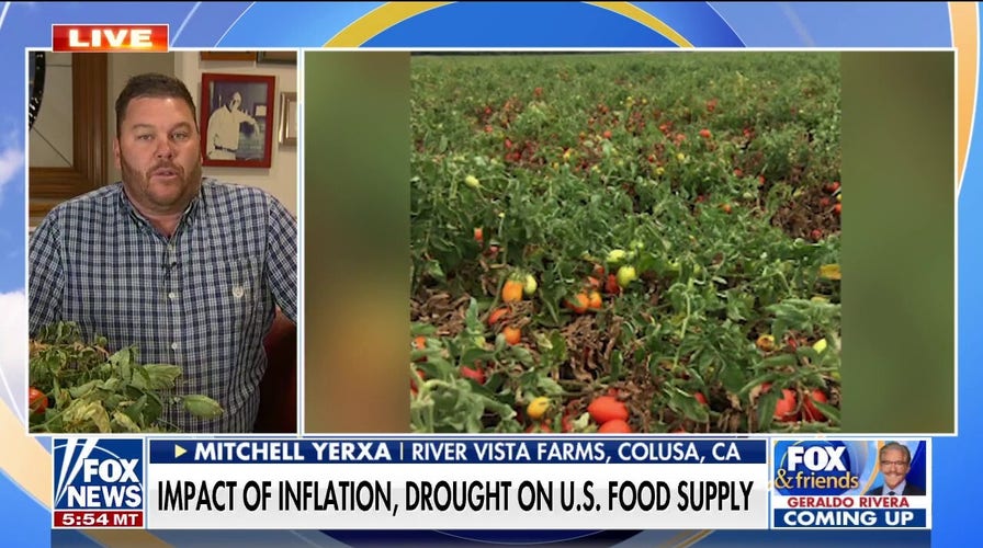 California farmer sounds alarm on tomato shortage, rising price of ketchup