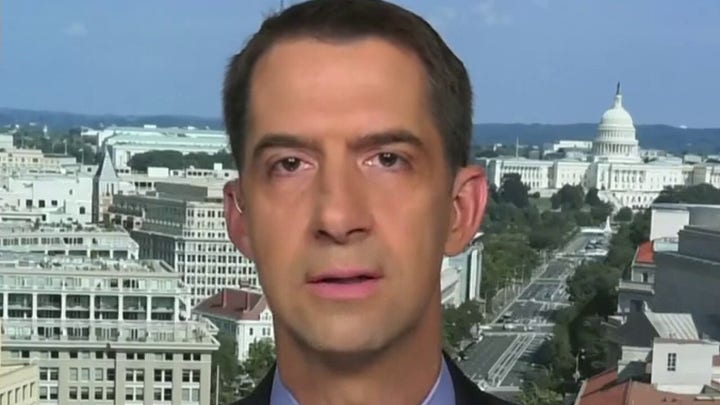 Sen. Cotton on Portland violence, next COVID-19 stimulus plan, his bill taking on The 1619 Project