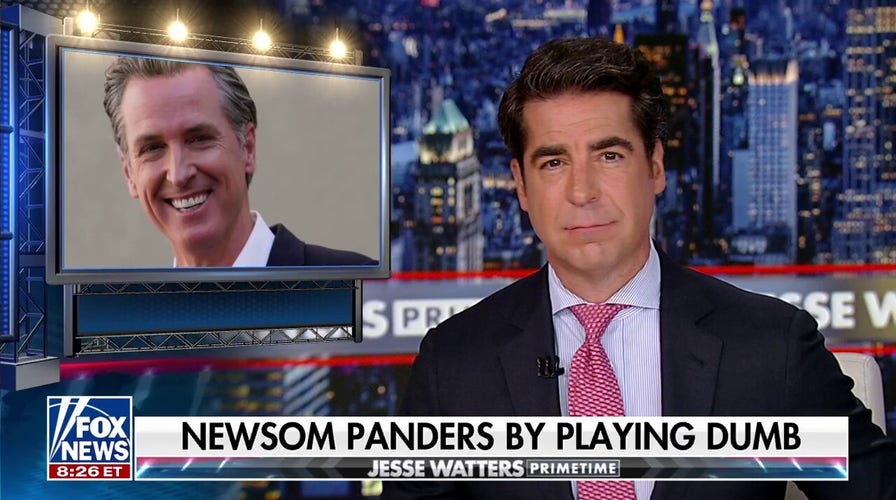 Jesse Watters: Gavin's got a new pitch - I'm dumb