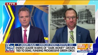 Energy leader calls out Democrats’ ‘hypocrisy’ on green energy