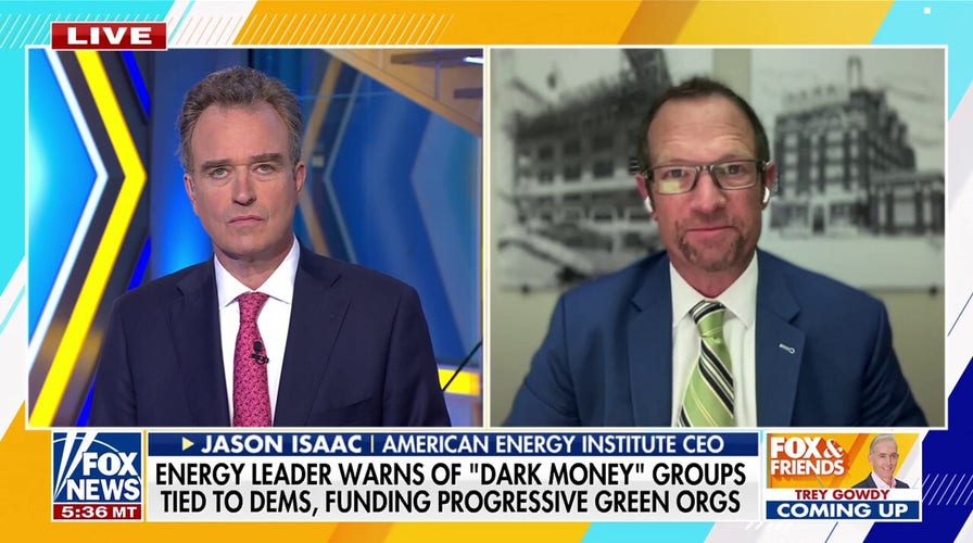 Energy leader calls out Democrats’ ‘hypocrisy’ on green energy