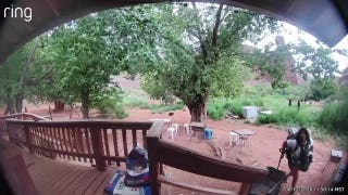 Blood-curdling screams are heard that save NYC mom, causing alleged predator in Arizona attack to flee