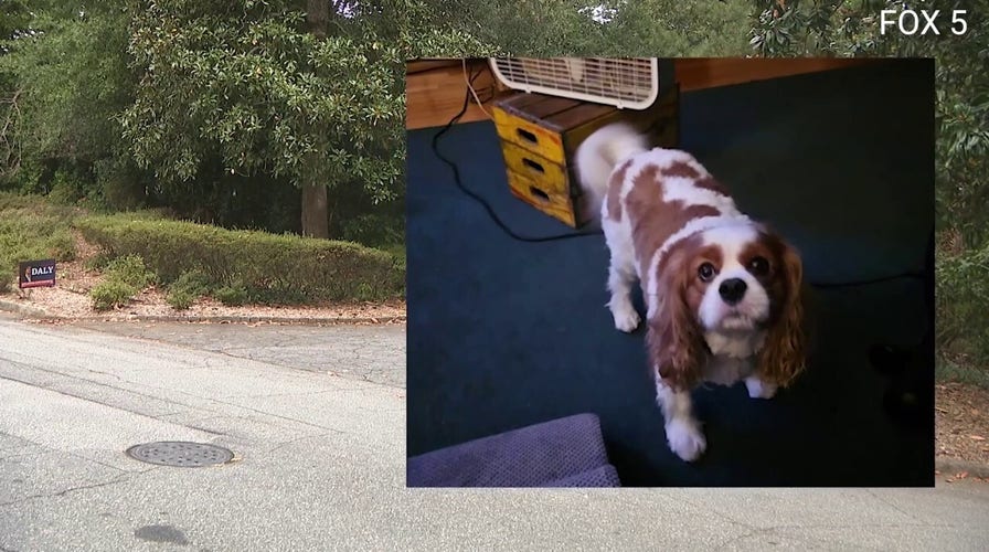 ‘Fast & Furious’ actor Tyrese Gibson faces arrest warrant after dogs allegedly kill neighbor's pet