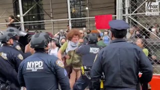 NYPD make arrests during anti-Israel march and secure scene near Met Gala - Fox News