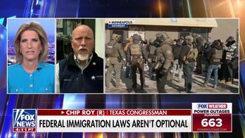 Dems don’t want to enforce the law or secure the country: GOP lawmaker