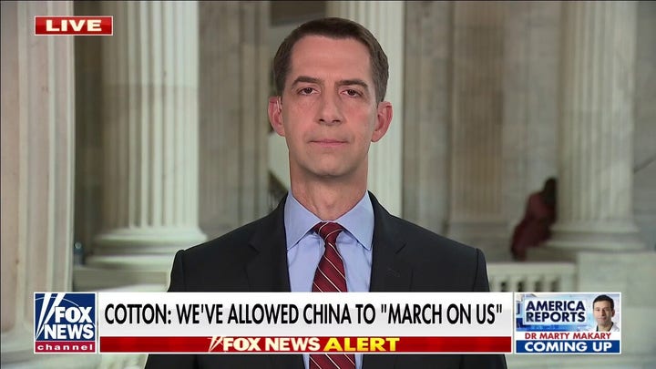 Sen. Cotton expresses 'real doubts' about US Navy's ability to defeat China in battle