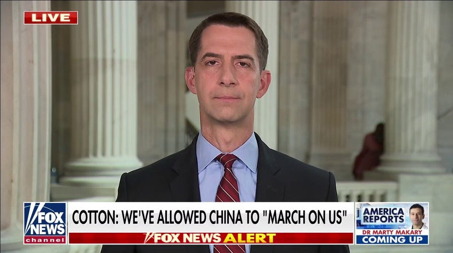 Sen. Cotton expresses 'real doubts' about US Navy's ability to defeat China in battle