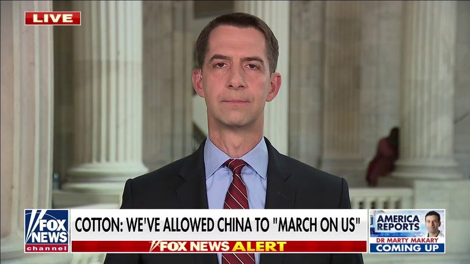 Sen. Cotton has ‘real doubts’ about US Navy’s ability to defeat China in battle