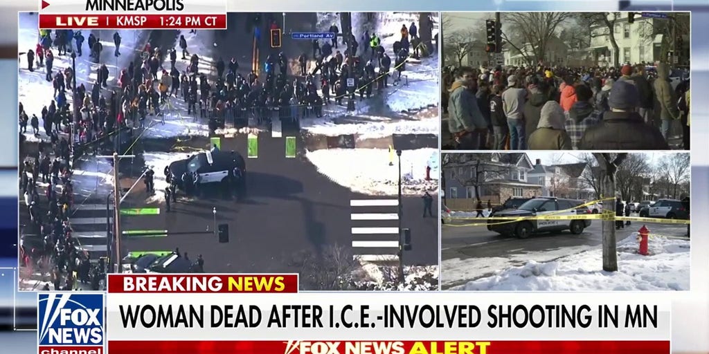 Democratic strategist calls out Minnesota governor, Minneapolis mayor over deadly I.C.E. shooting rhetoric