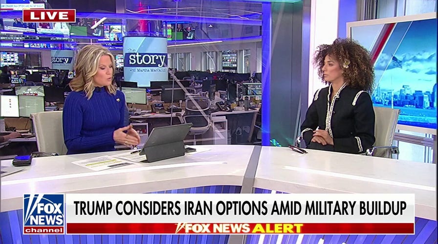  Iranian absorption   activist