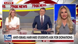 Tomi Lahren rips 'narcissist' Harvard students asking for donations: 'Repulsive' - Fox News
