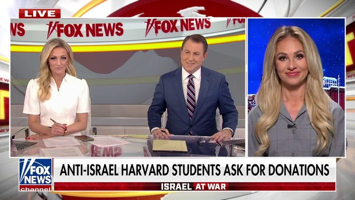 Tomi Lahren rips 'narcissist' Harvard students asking for donations: 'Repulsive'