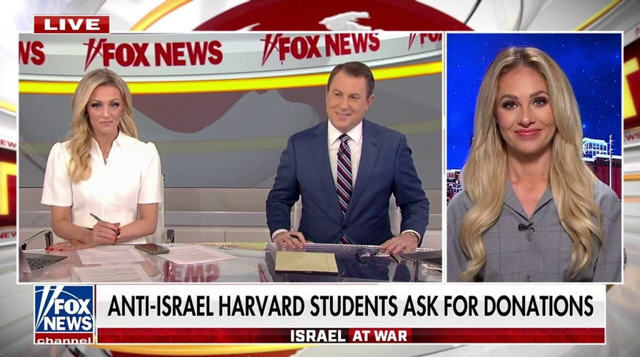 Tomi Lahren rips narcissist Harvard students asking for donations: Repulsive