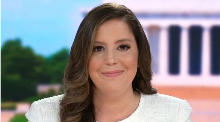Stefanik says Trump will play 'really important role' in midterms: 'There is no more popular figure'