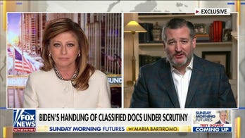 Sen. Ted Cruz: Hunter Biden's email to Burisma business partner infers he had 'direct access' to classified info