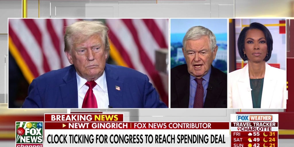 Gingrich says House lawmakers are 'colliding' with Trump on spending bill