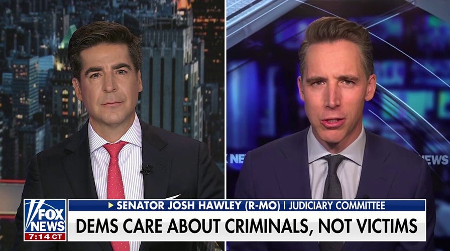 Democrats are so in love with criminal illegal aliens, they'd like to personally escort them into the US, GOP lawmaker says
