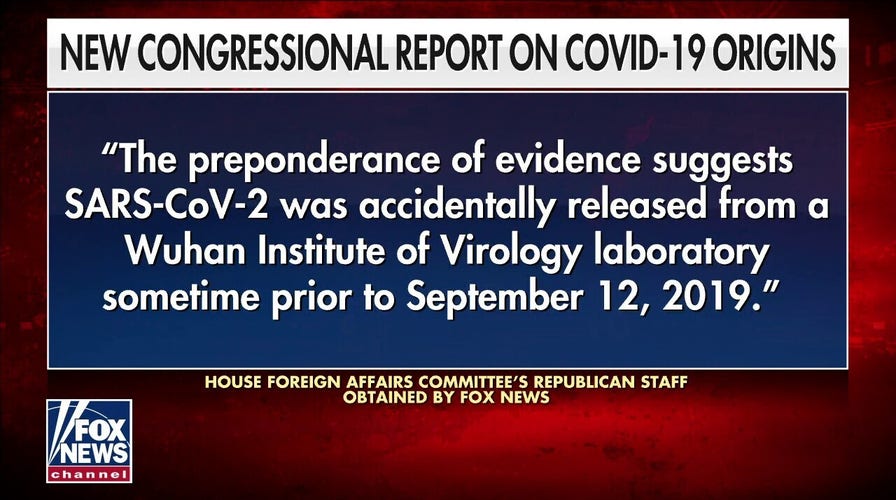  GOP report says 'preponderance of evidence' points to accidental Wuhan lab leak