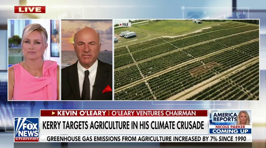 Kevin O’Leary: This is political suicide