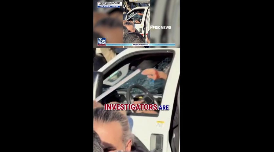 Suspect DETAINED after U-Haul plows through anti-Iran protest in LA