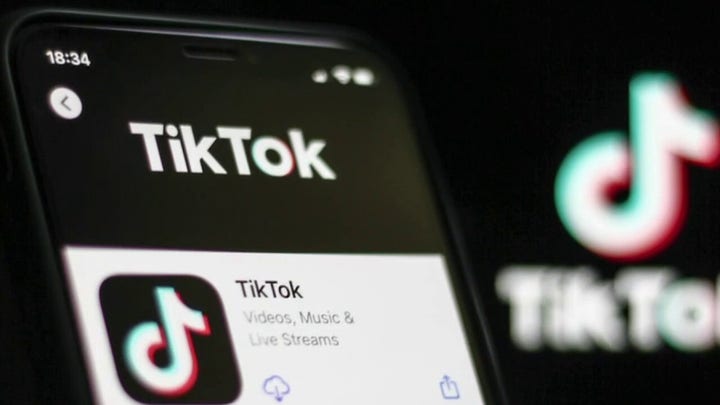 China using TikTok to hurt US kids, protect and educate their own: Rikki Schlott