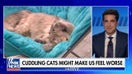 'The Five': Cuddling your cat might make you feel worse?
