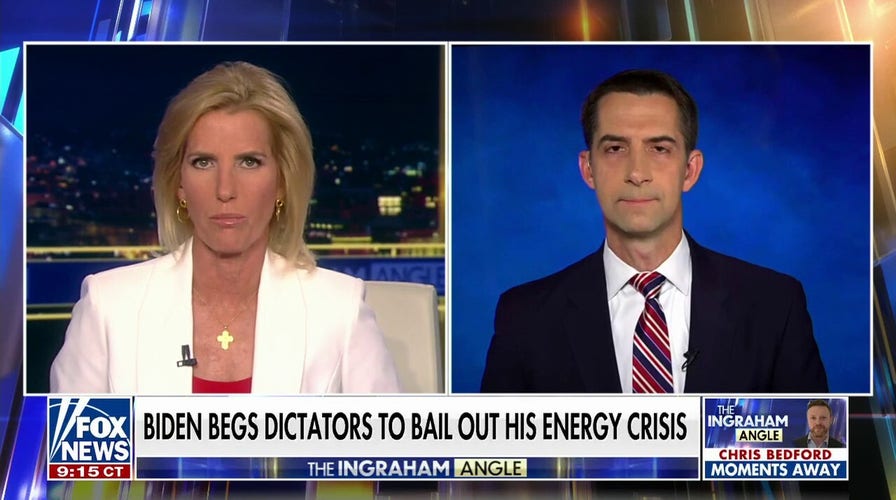 Sen Tom Cotton: This is how a Republican Senate will restore US energy production