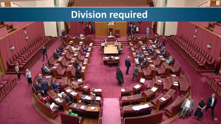 Controversial senator's burqa protest in Australian parliament triggers furious backlash