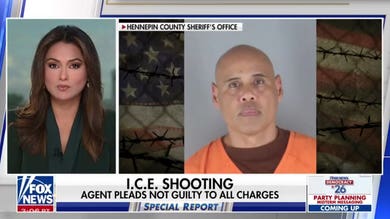 ICE agent pleads not guilty in Minnesota shooting case