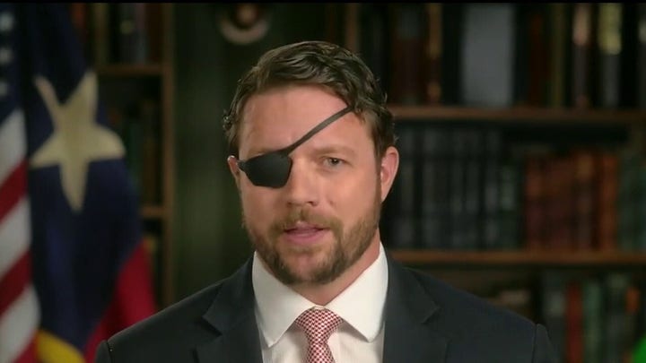 Dan Crenshaw slams Gov. Cuomo's COVID response: 'He took action that hurt people'