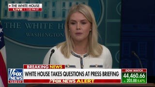 Karoline Leavitt calls out Democrat hypocrisy on the Epstein case