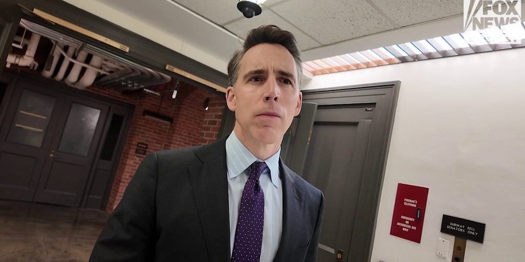 SEE IT: Hawley on GOP senators who blocked SAVE Act: 'I just don't understand it'