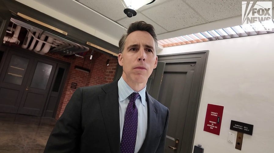 SEE IT: Hawley on GOP senators who blocked SAVE Act: 'I just don't understand it'