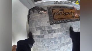 Police officer wrangles alligator with bare hands 'Can't take the country out of the boy' - Fox News