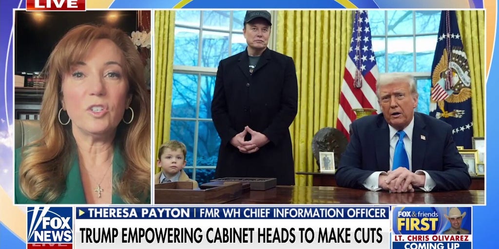 Trump clarifies Musk's role with DOGE among Cabinet members