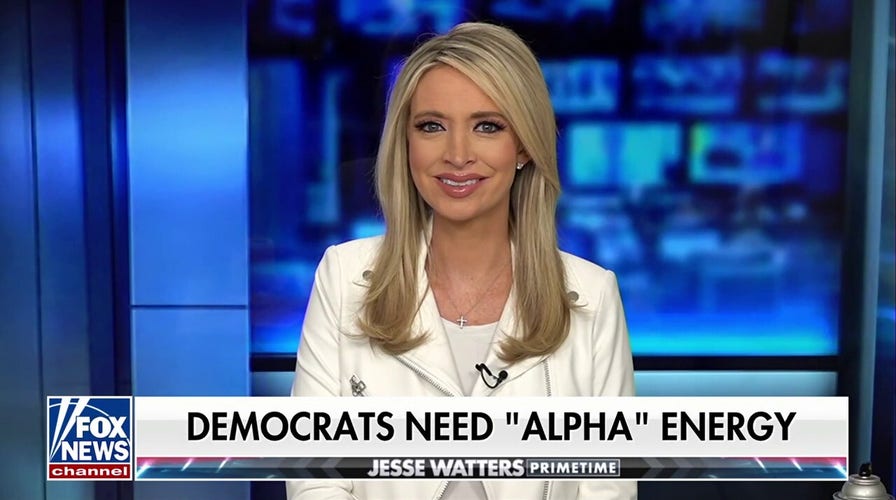 The investigation into the Biden cover-up needs to 'start and not end' until 4 years from now, says Kayleigh McEnany