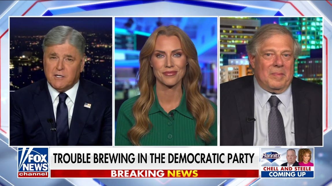 Democratic Party is on a ‘highly destructive’ course: Former Clinton advisor