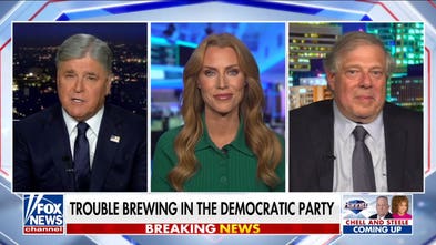 Democratic Party is on a ‘highly destructive’ course: Former Clinton advisor