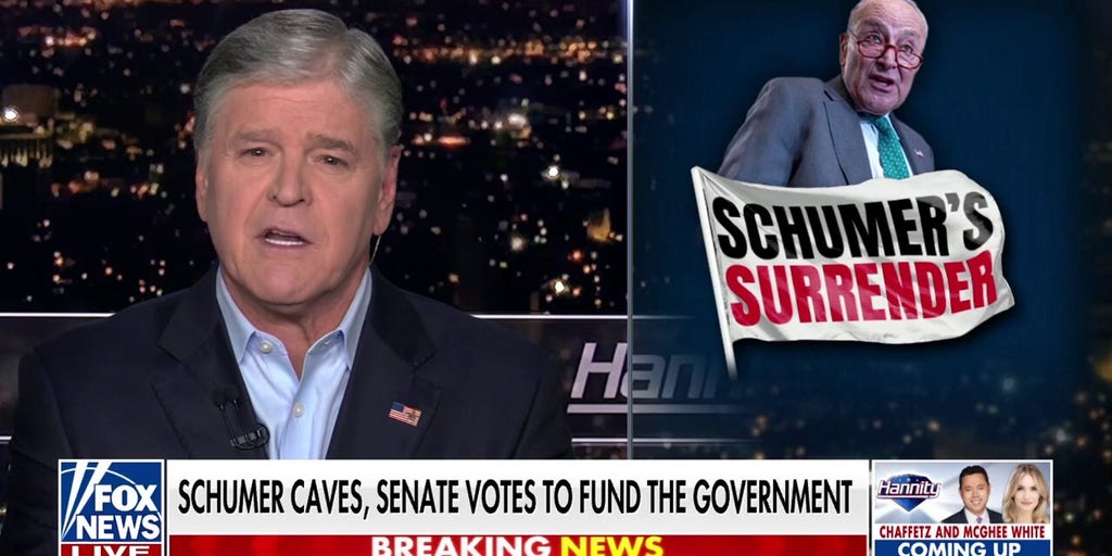 Sean Hannity: The Democratic Party is descending into unmitigated chaos