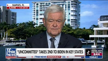 Newt Gingrich: Biden-ism isn't working